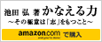 池田弘著 かなえる力 amazonで購入