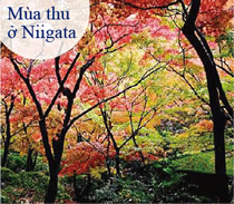 Mùa thu ở Niigata