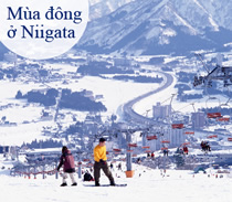 Mùa đông ở Niigata